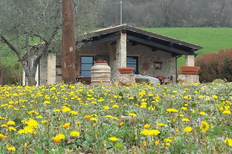 Poggio Al Vento Villa Manciano Luaran gambar